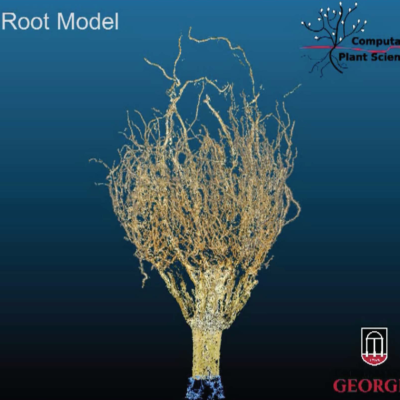RootModel